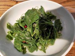 木姜子拌丝瓜尖-一坐一忘云南菜(三里屯店)