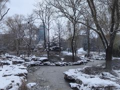 -莲花池公园