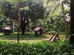 -三亚湾海居铂尔曼度假酒店