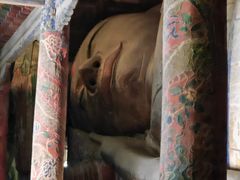 -张掖大佛寺景区