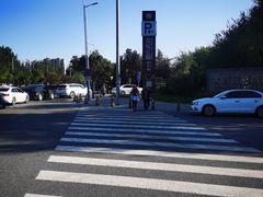 -大兴滨河森林公园