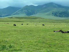 -新疆那拉提国家旅游度假区