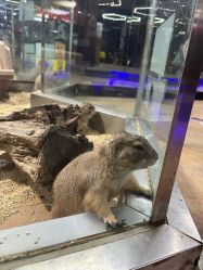 -未来动物城主题公园(正弘城店)