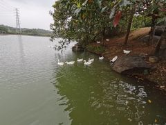 -中国移动南方基地