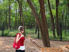 -南戴河国际娱乐中心