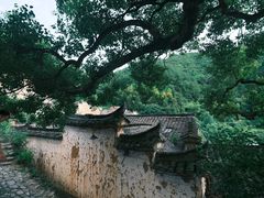 -杨家堂村