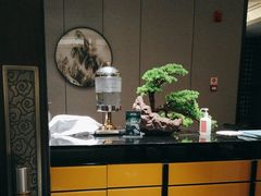 -青雅中餐厅(大连金石滩绿发希尔顿度假酒店)