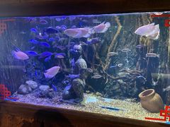 -华夏文旅海洋公园