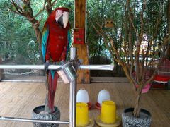 android_upload_pic-泰山花样年华景区