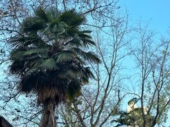 -西安电影制片厂