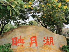 -映月湖公园