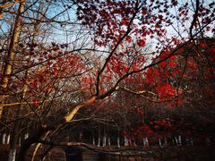 -白马涧龙池景区