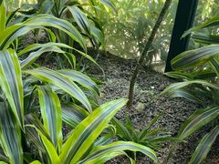 -太守宴·蘭院(天塔店)