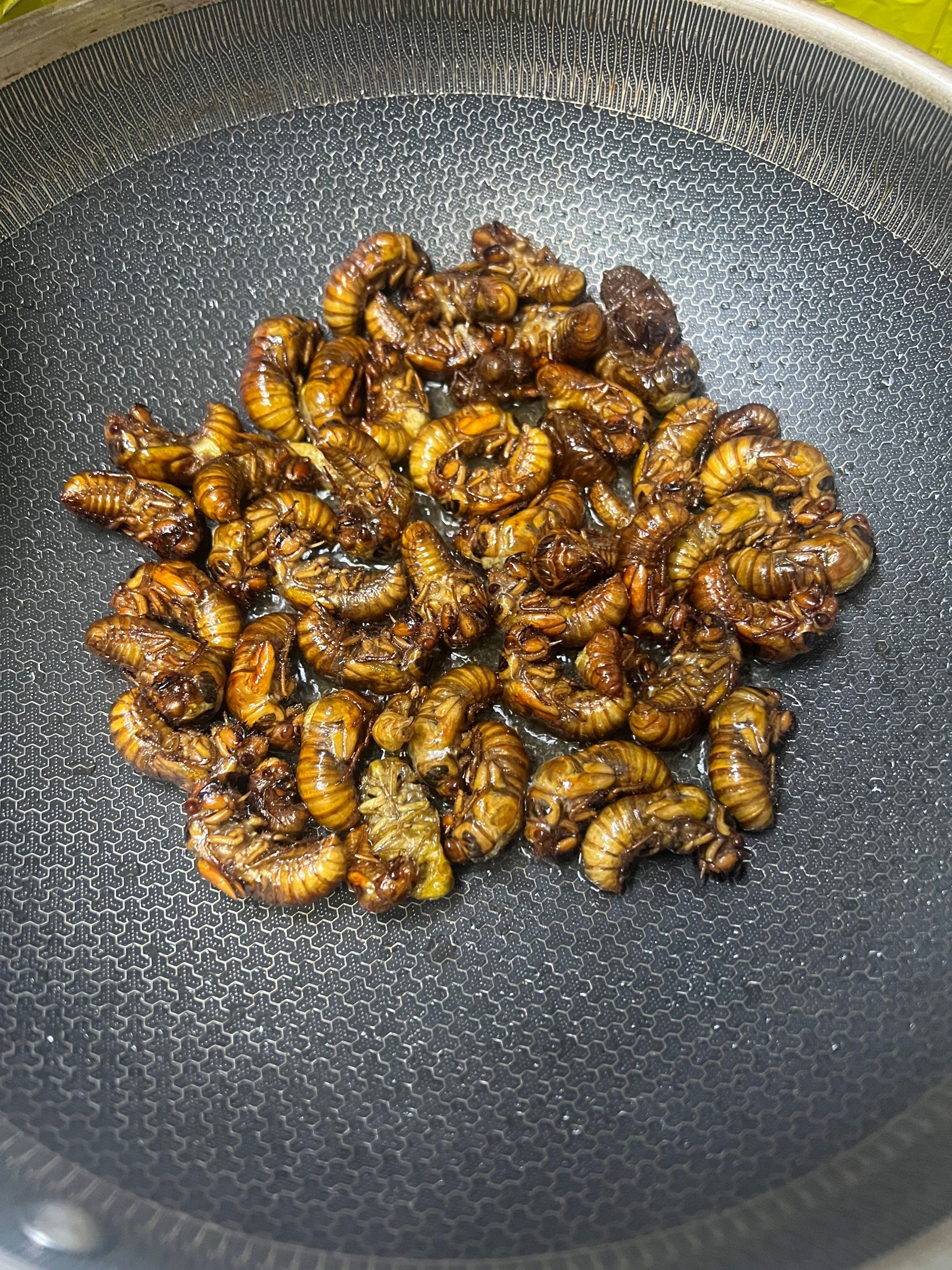 夏日限定:油炸知了猴