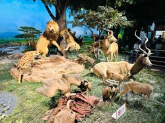 -国家自然博物馆