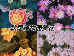 -国家植物园