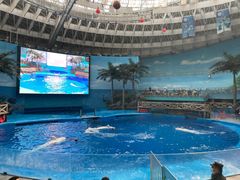 -海合安成都极地海洋公园