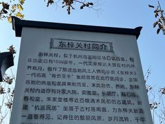 -东梓关景区村庄