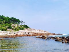 -广东惠东海龟国家级自然保护区