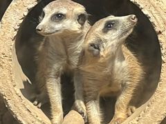 -秦皇岛野生动物园