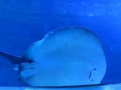 -珠海长隆海洋王国