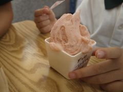 -野人先生Gelato(上海长宁龙之梦店)