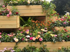 -人民公园(罗湖区)