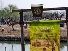 -乌村