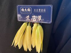 -楠火锅(太古里总店)