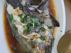 -鑫鸿达·海鲜闽菜热炒小馆(中山路店)
