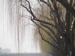 -扬州古运河
