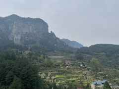-重庆睡佛山森林公园