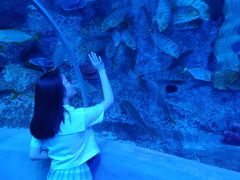 -芜湖新华联大白鲸海洋公园