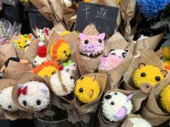 -越秀西湖花市(广州城市广场花卉店)