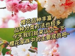 -上海辰山植物园