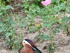 -中国农业博物馆