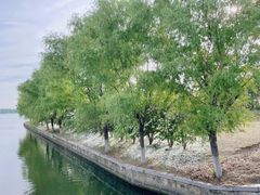 -漕湖湿地公园