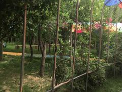 -奥帕拉拉水公园