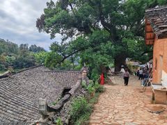 -杨家堂村