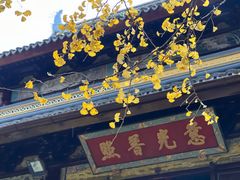 -西园戒幢律寺