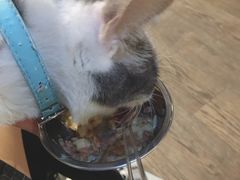 -小时光咖啡馆(开森度假森林店)