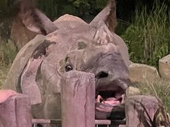 -夜间野生动物园