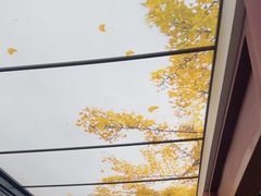 -京味斋·烤鸭·北京菜(安贞店)