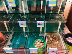 水产区-琼大师东方烤乳猪(亚特兰蒂斯店)