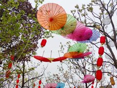 -三圣花乡旅游区