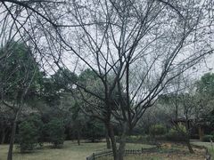 -金山公园