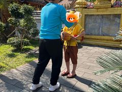 -西双版纳傣族园