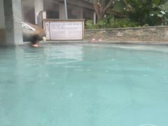 -碧水湾温泉