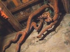 -张掖大佛寺景区