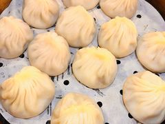 鲜肉小笼-大龙汤包